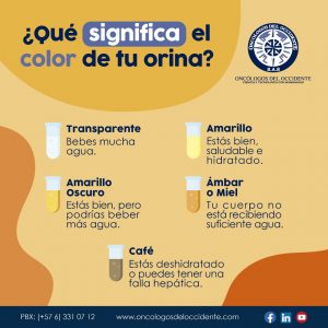 ¿Qué significa el color de tu orina?