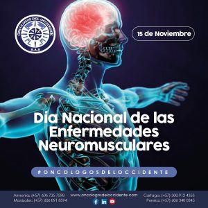 15 de Noviembre.  Día Nacional de las Enfermedades Neuromusculares