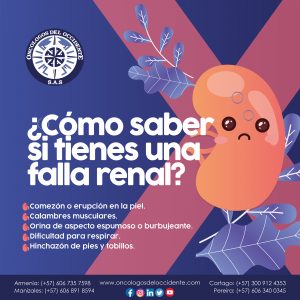 ¿Cómo saber si tienes una falla renal?